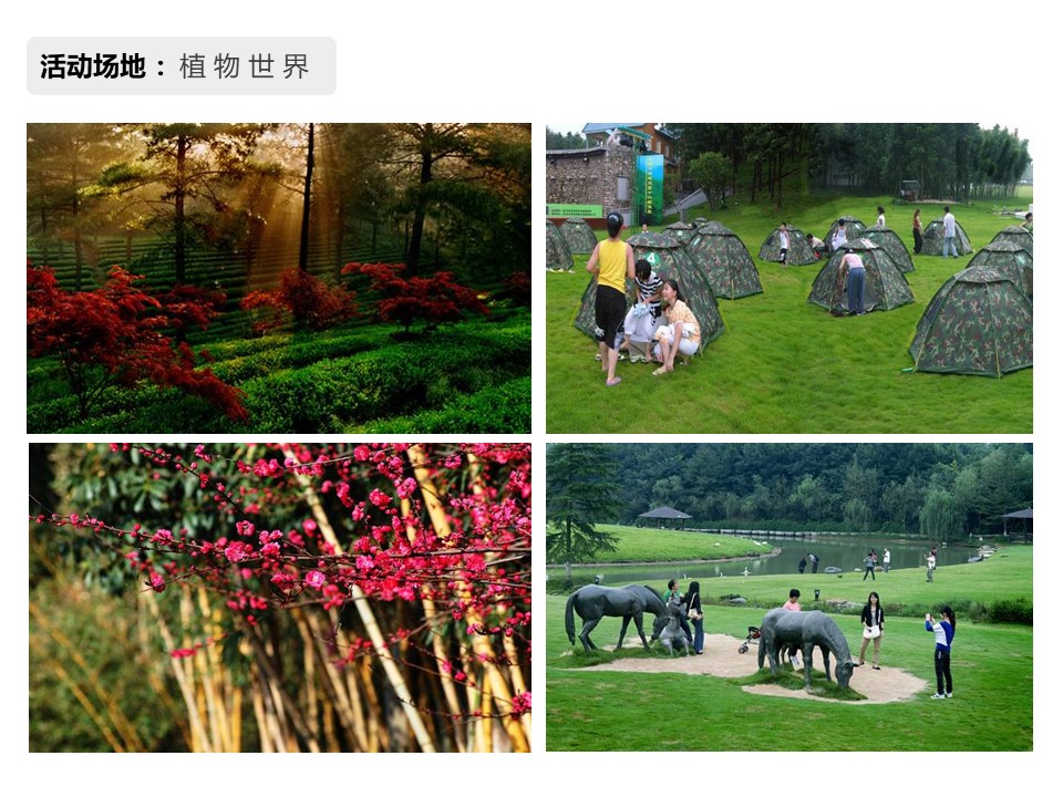 核舟安吉百草原團(tuán)建拓展基地9.JPG