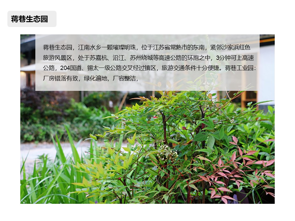 核舟蔣巷生態園團建拓展基地1.JPG