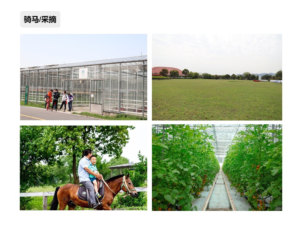 核舟蘇州太湖綠光團建拓展基地7.JPG
