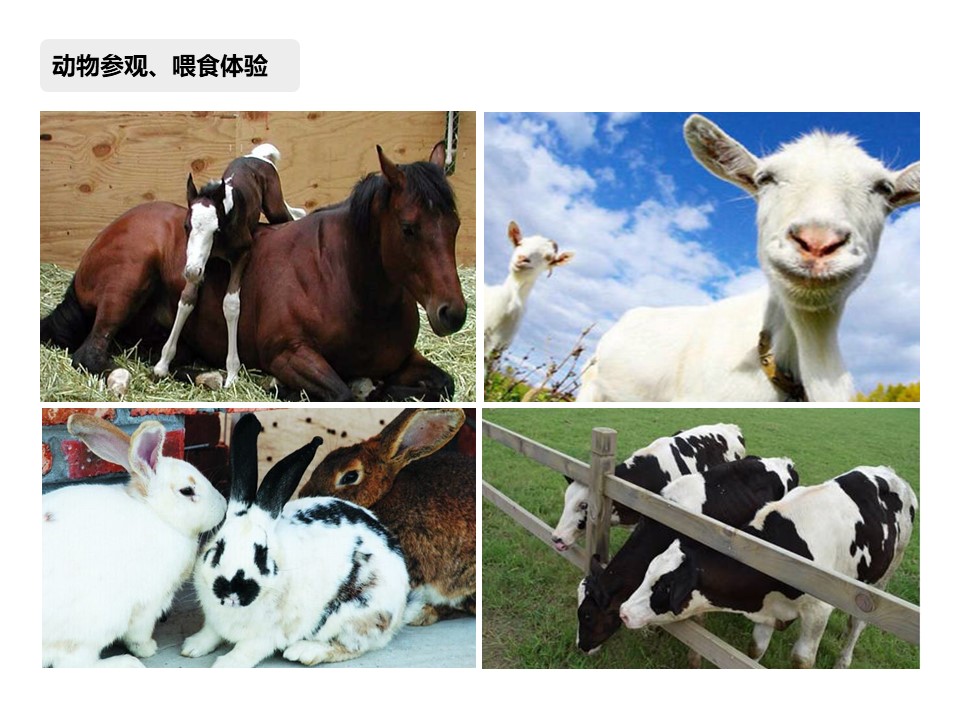 核舟蘇州牧谷農場團建拓展基地7.JPG