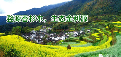 金利源板材/金品質(zhì) 源生態(tài).從源頭精挑細(xì)選，為品質(zhì)保駕護(hù)航——中國板材十大品牌品質(zhì)篇