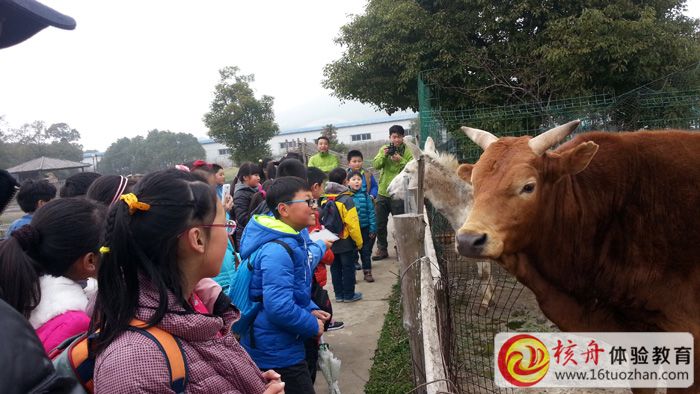 情系蘇州，核舟樂慧青少年春季體驗課走進農(nóng)場 主題活動圓滿結(jié)束